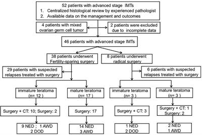 Oncological and Reproductive Outcomes in Patients With Advanced-Stage Ovarian Immature Teratoma: Experience From a Tertiary Center